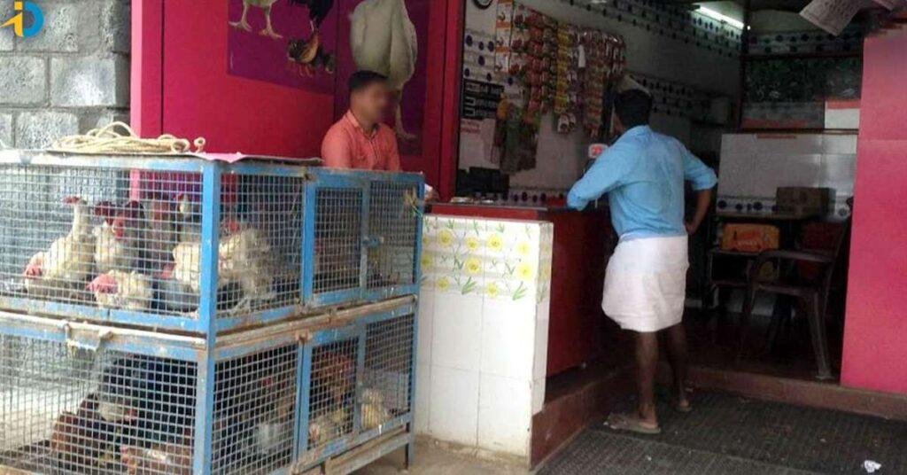 వామ్మో.. షాక్ ఇస్తున్న చికెన్ ధరలు.. కిలో ఎంతంటే?