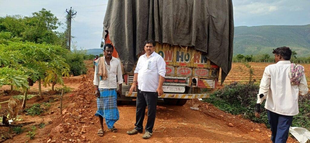 బొప్పాయి తోటల్లో ఎంఆర్‌ఓ ఆకస్మిక తనిఖీలు తాసిల్దార్ అమర్నాథ్ 